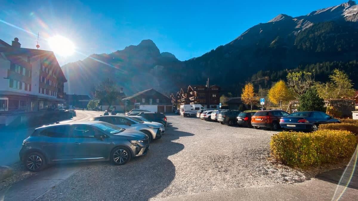 Olsa - Cozy In *