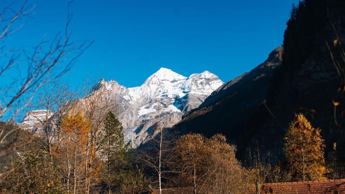 Olsa - Cozy In Kandersteg